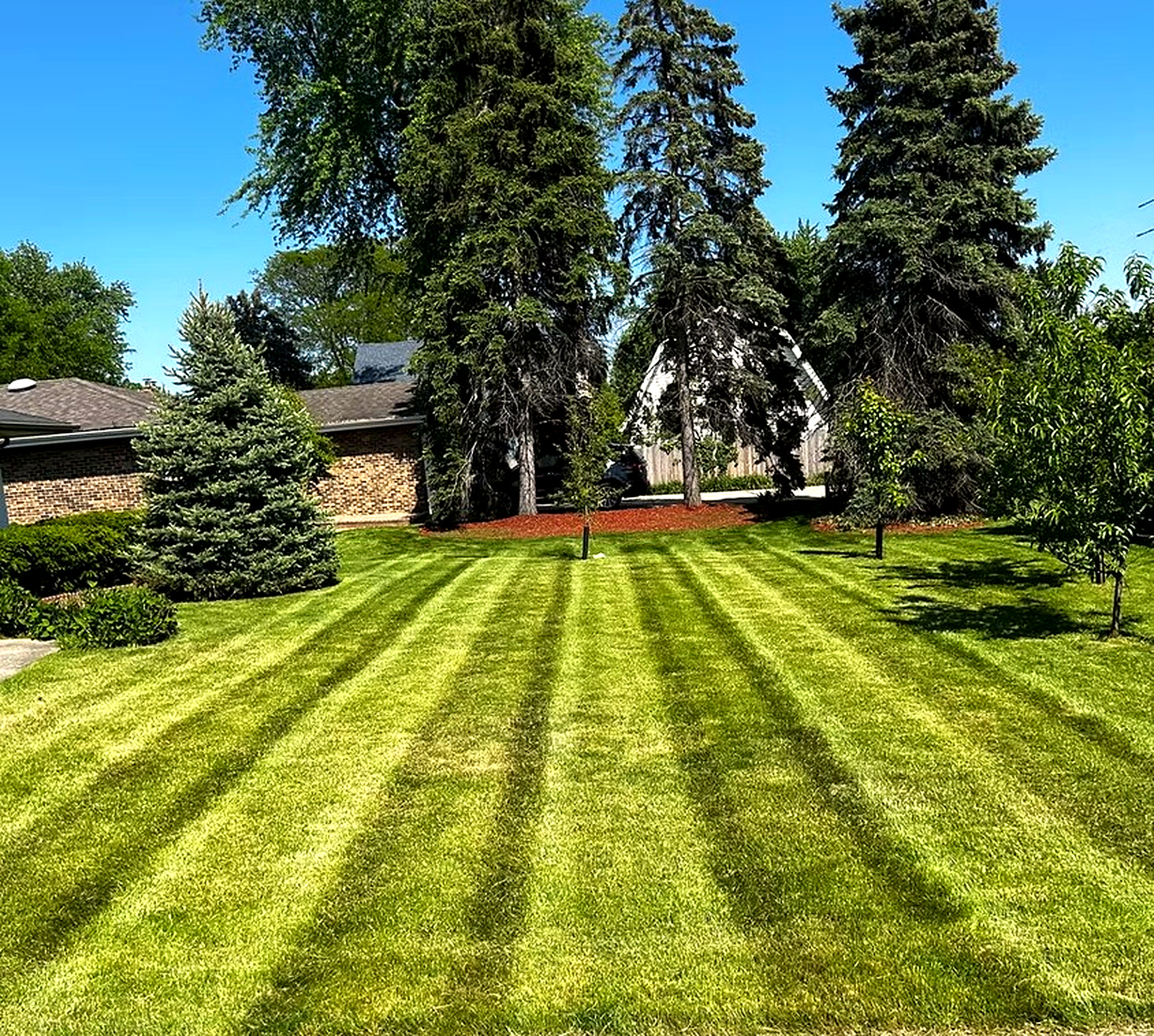 Curb-appeal lawn care with crisp autumn foliage