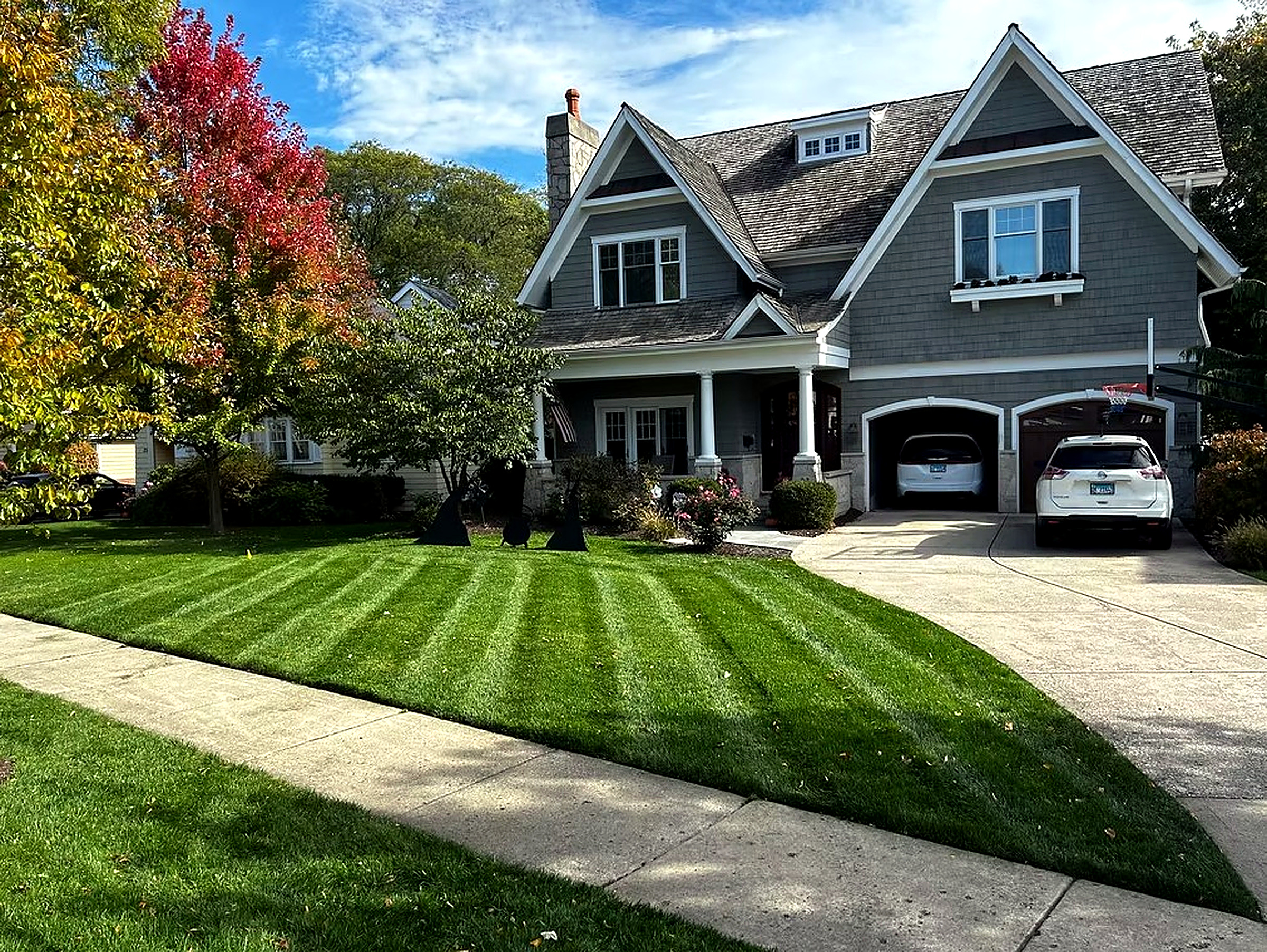 Professional tree care with aerial lift