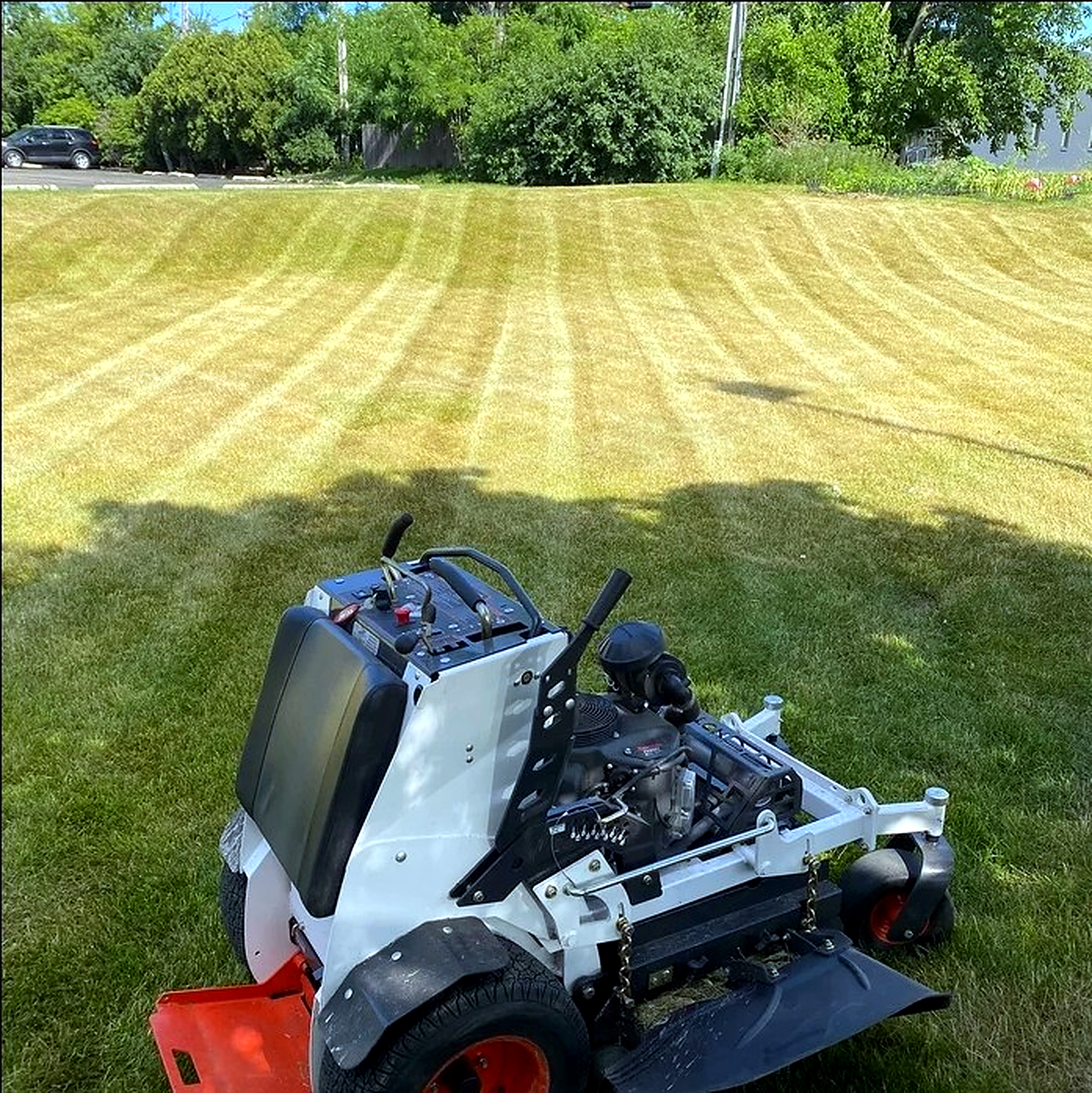 Commercial property lawn and mulched planting beds