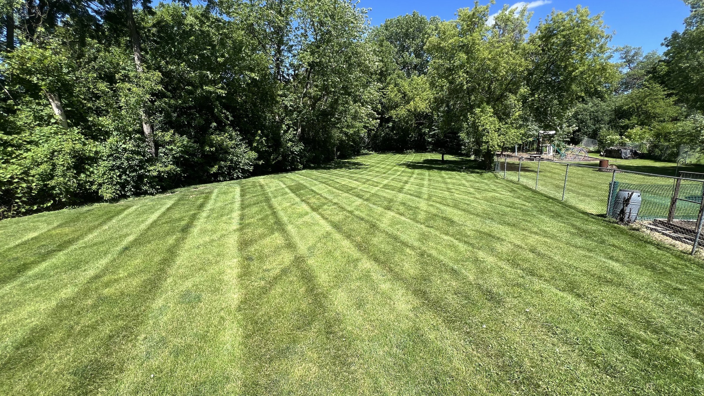 Fenced backyard with professionally striped turf