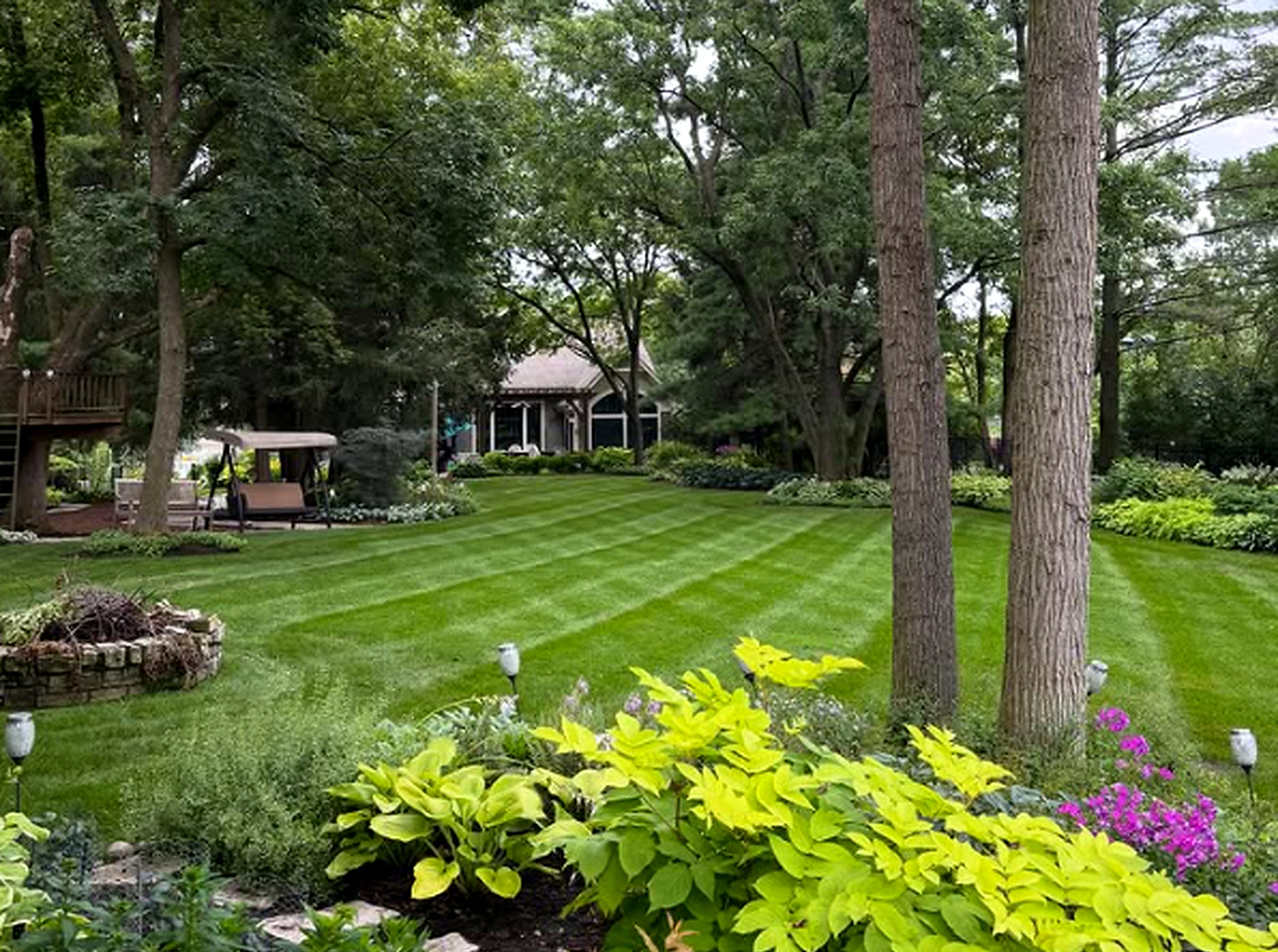 Striped backyard lawn framed by hostas, trees, and a garden swing