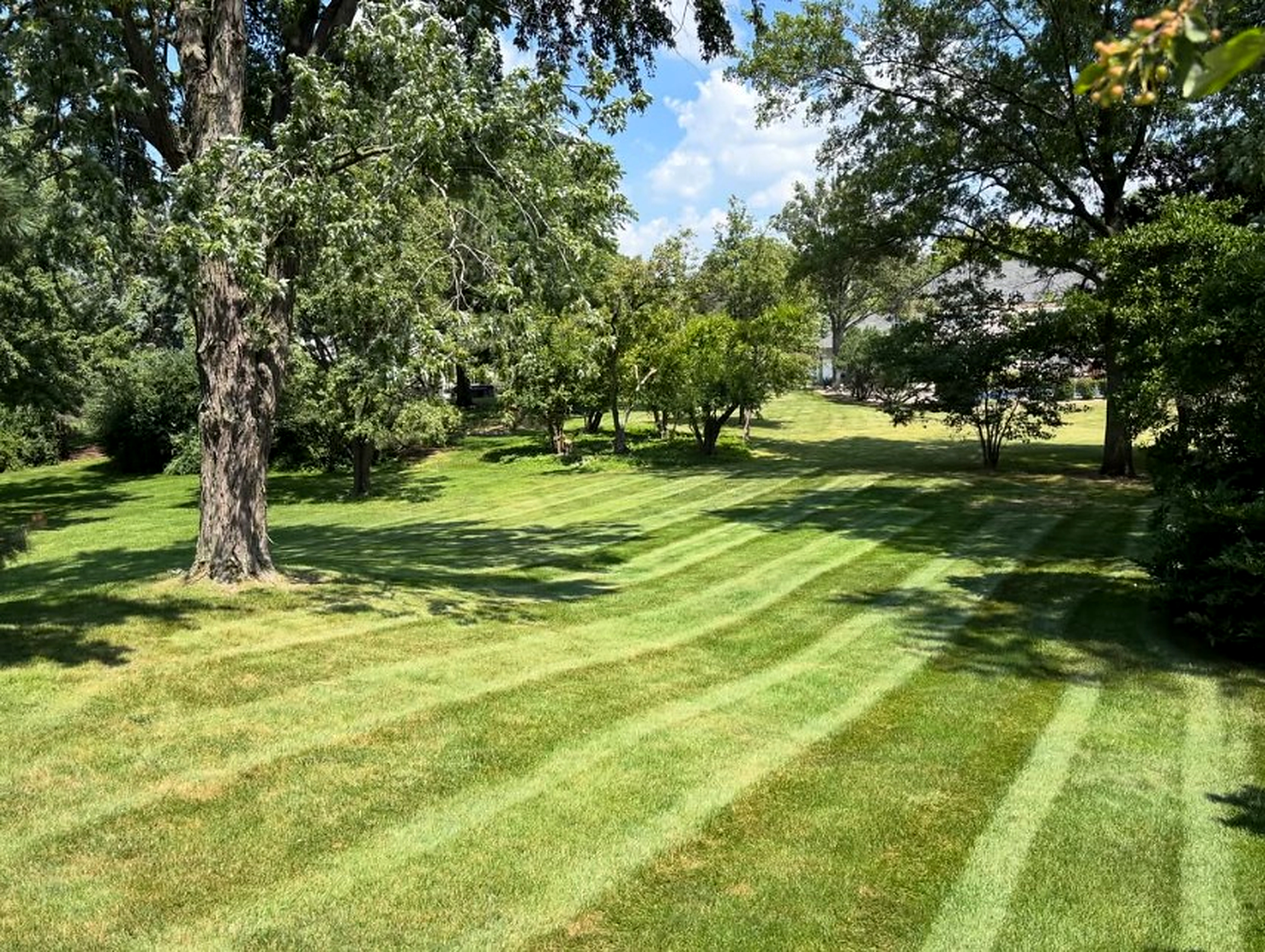 Sloping estate lawn with crisp professional striping
