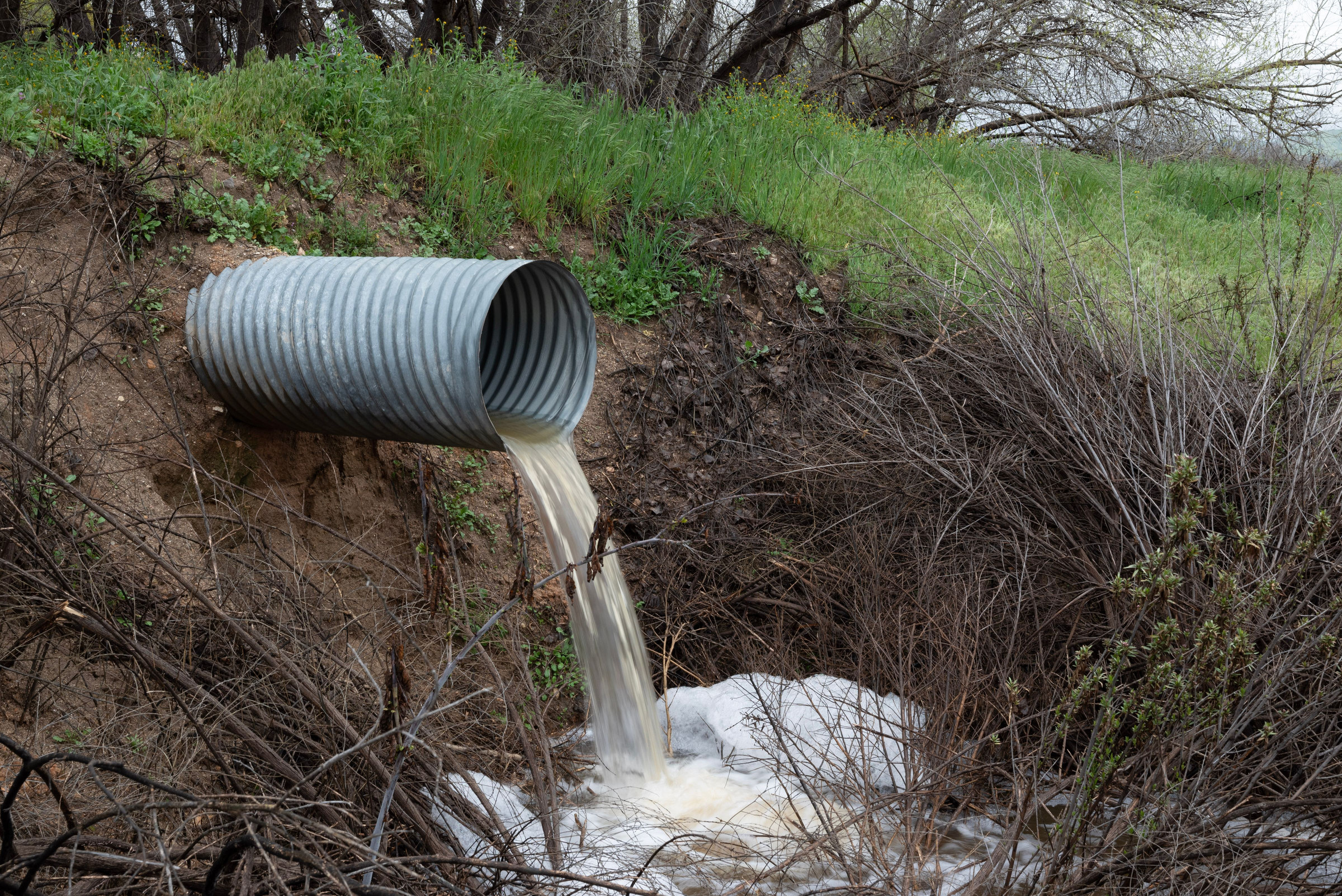 Drainage pipe carrying water away from a bank