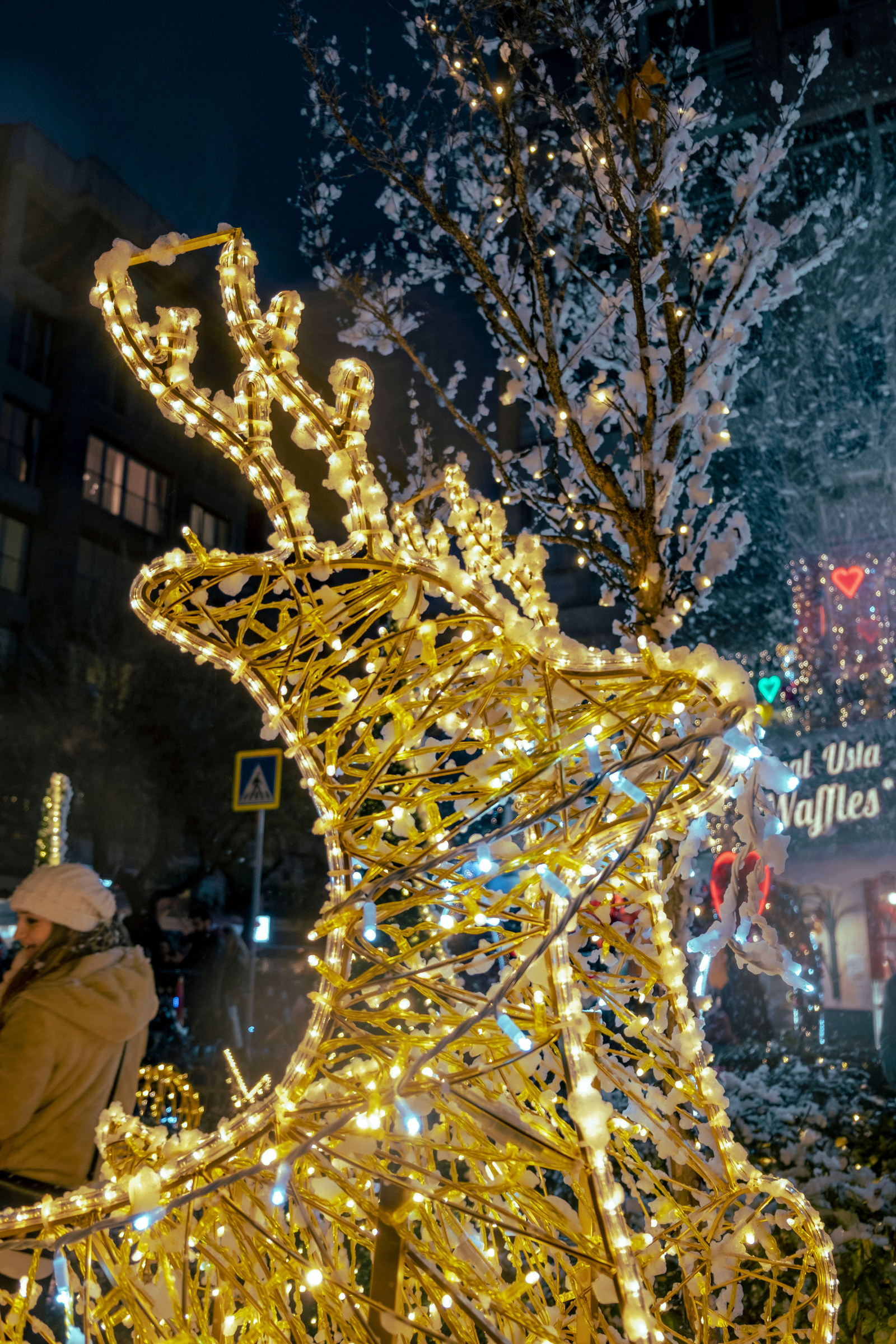 Illuminated holiday reindeer display at night