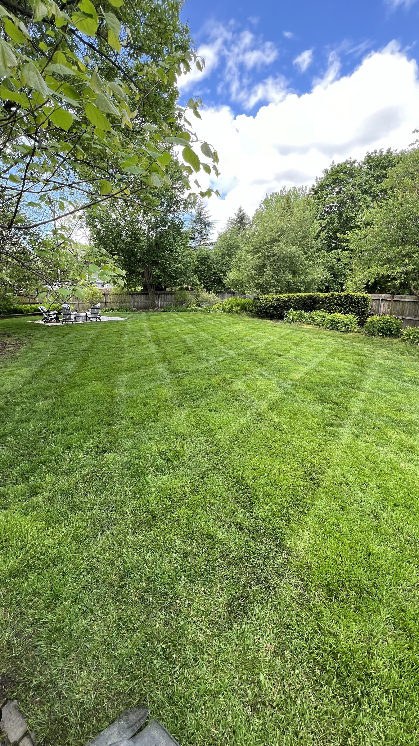 Freshly striped backyard lawn under summer trees