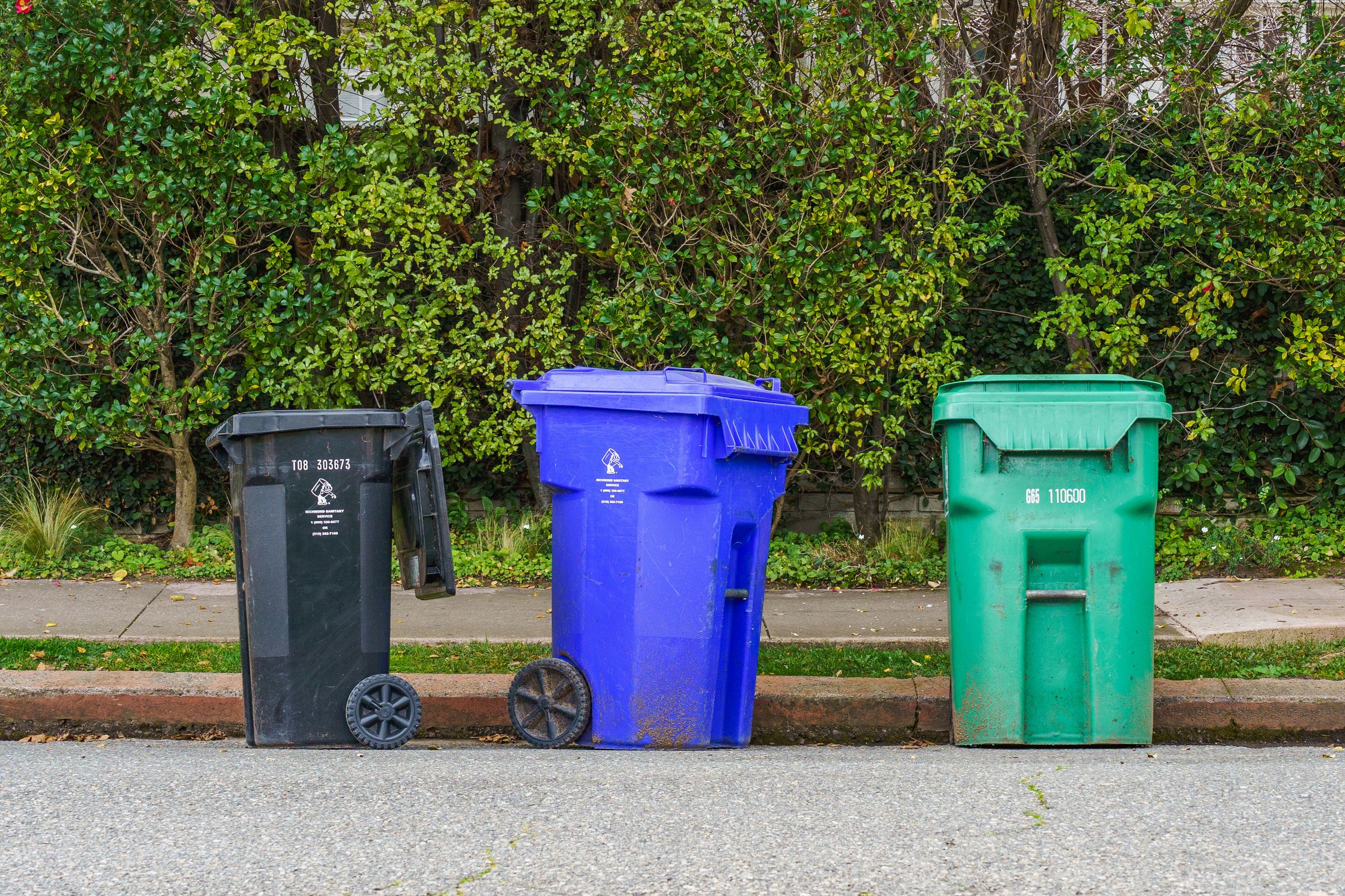 Recycling bins lined along a street